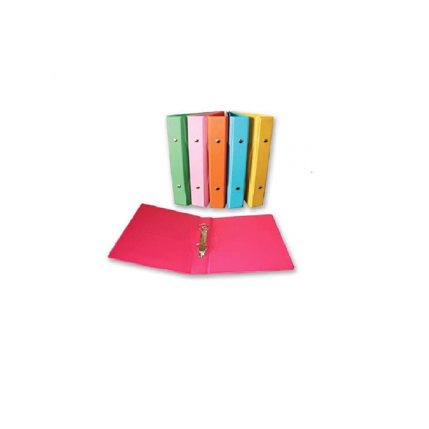 CARPETA DOBLE ARGOLLA