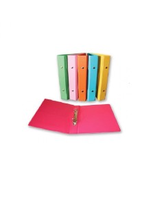 CARPETA DOBLE ARGOLLA